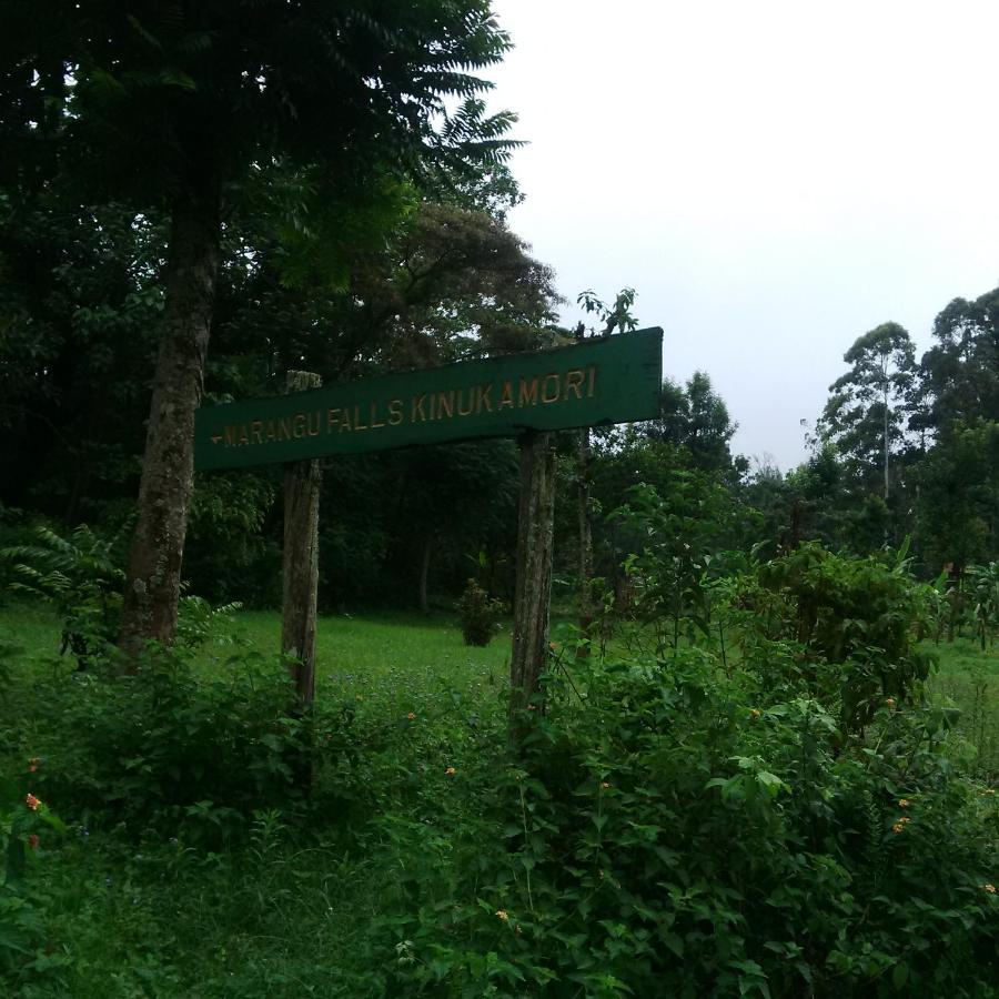 Serene Mountain Lodge Marangu Kültér fotó