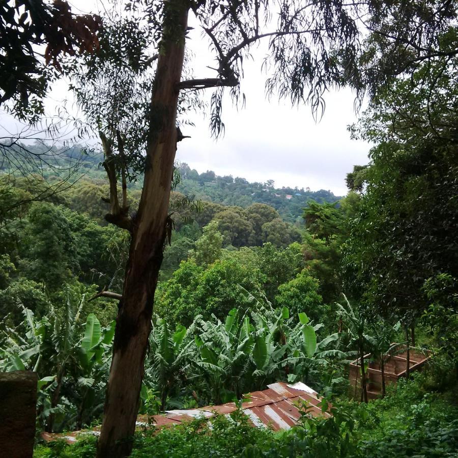 Serene Mountain Lodge Marangu Kültér fotó